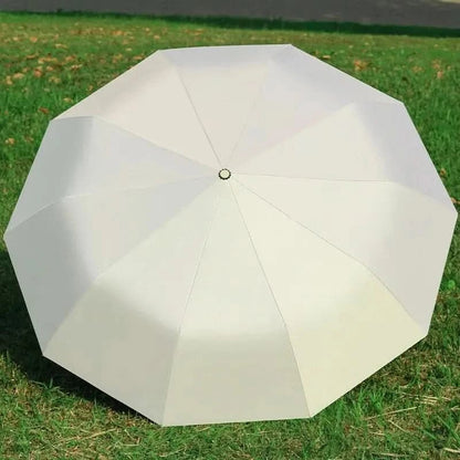 Automatic Windproof UV-Protection Folding Umbrella