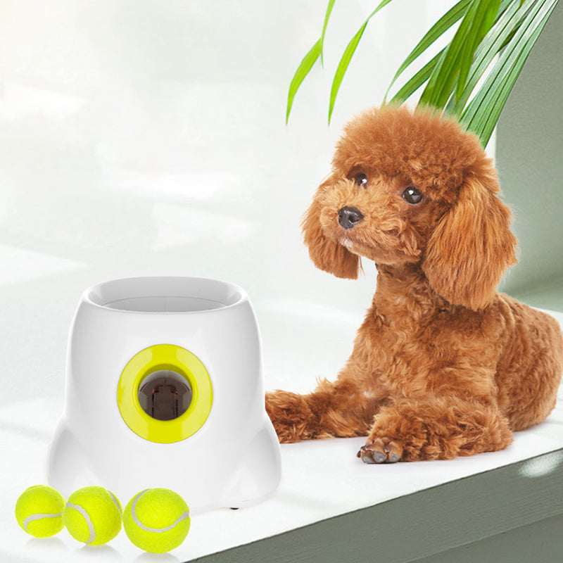 Automatic Ball Launcher for Small Dogs