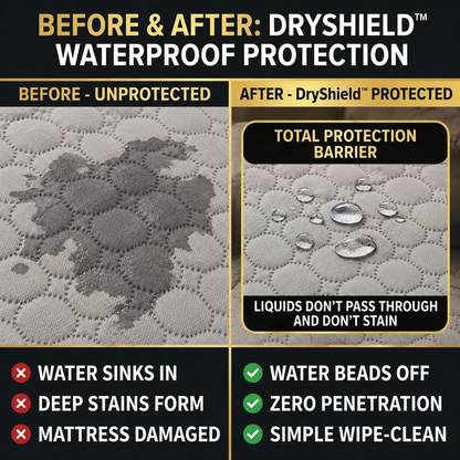 DryShield Waterproof Protective Cover for Sofa and Bed