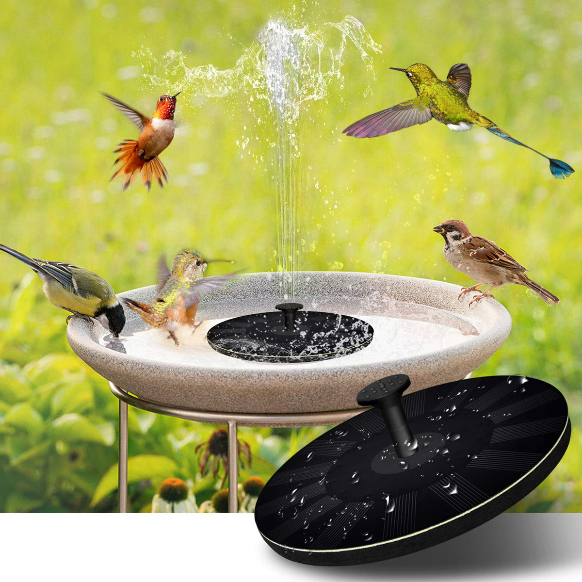 AquaLuxe™ Solar Fountain — Enchant Your Garden with Lively Water Play and Sunny Energy