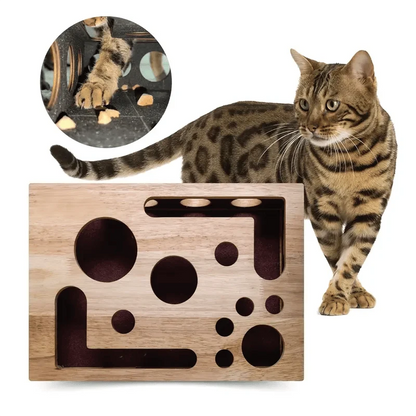 Cat Scratching Puzzle Activity Box