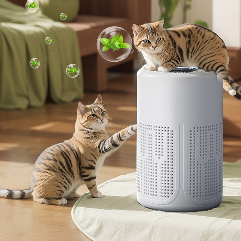 Compact Air Purifier for Home