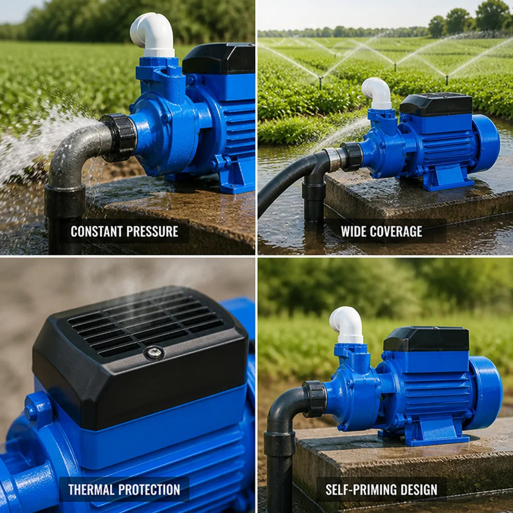 Thermally Protected Self-Priming Water Pump Made of Cast Iron and Aluminum