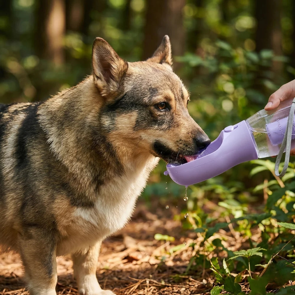 TrailBuddy™ – 3-in-1 Dog Drinking Bottle with Food Container