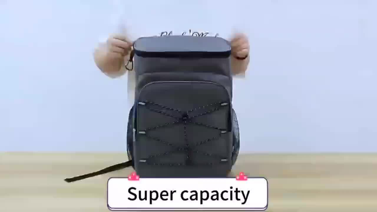 Insulated Lunch Backpack 30L
