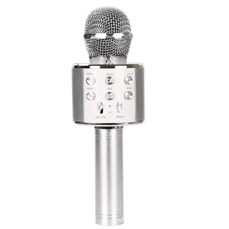 Wireless Karaoke Microphone with Bluetooth