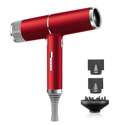 Professional Ionic Hair Dryer