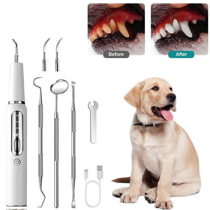 Ultrasound Device for Dog Grooming