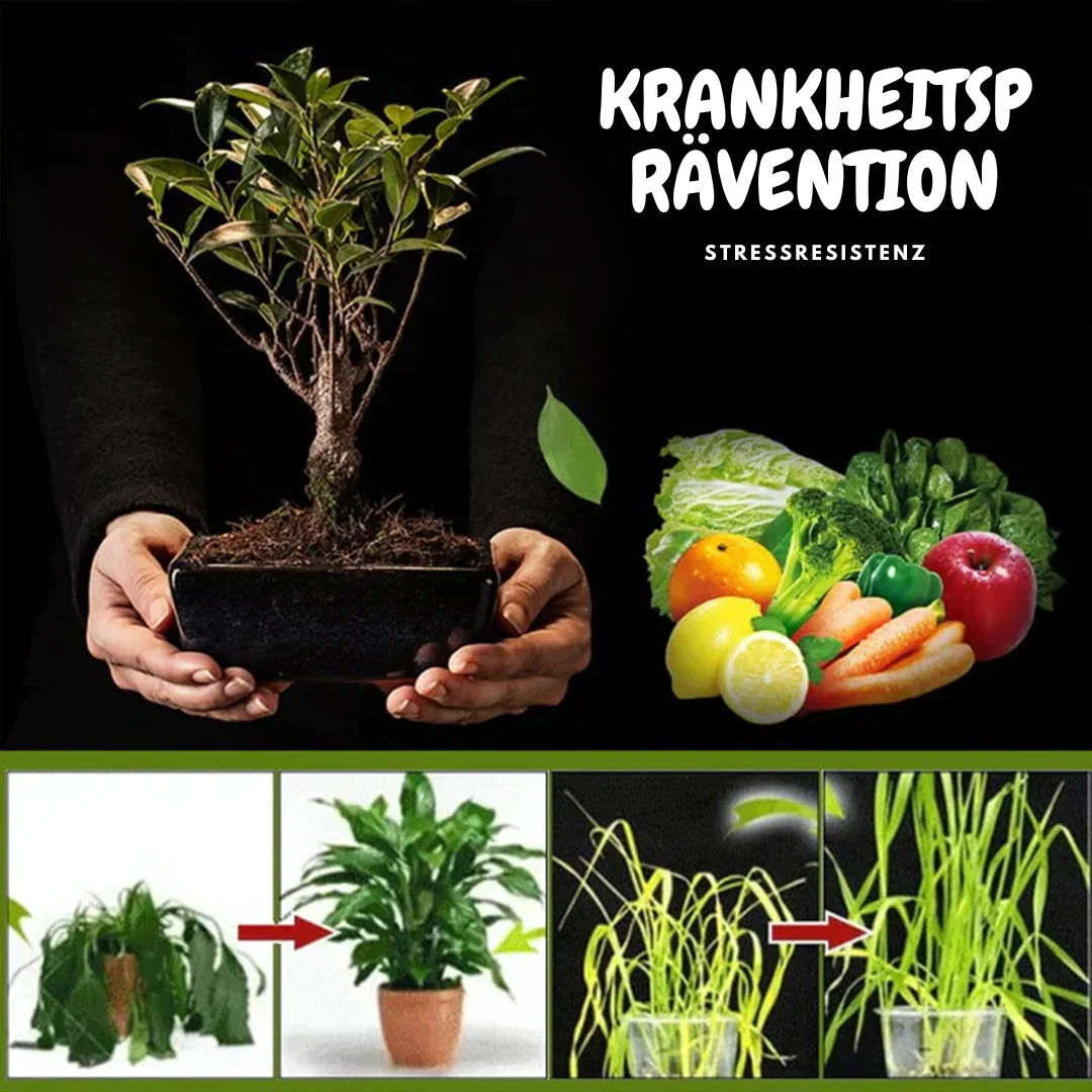 TerraPulse™ — Unleash the Full Power of Vibrant, Radiant Plants in Just Days