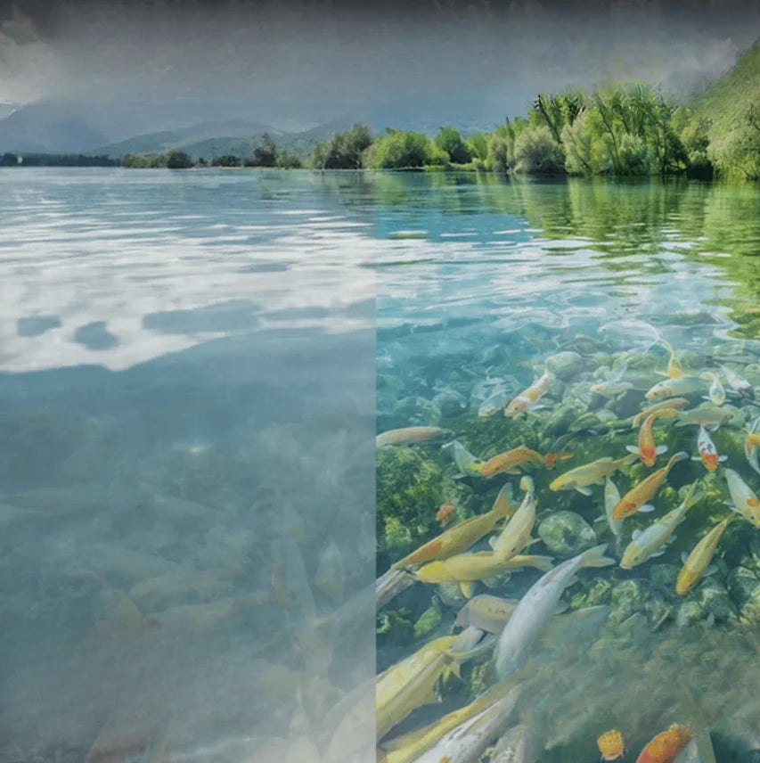 Aquara™ — See Fish, Feel Success: Clear View for Your Best Fishing Time