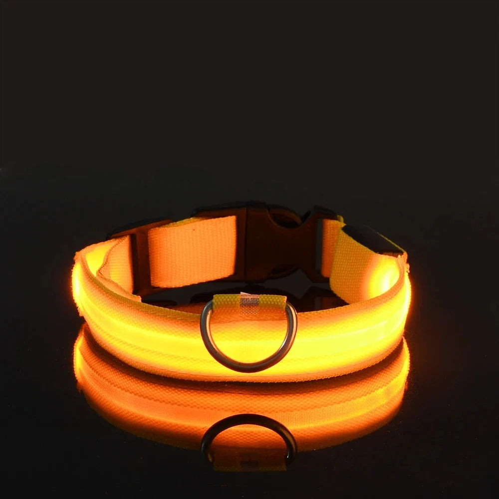 LED Dog Collar Glowing for Night Walks