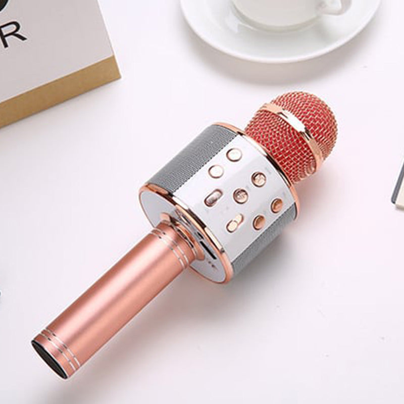 Wireless Karaoke Microphone with Bluetooth
