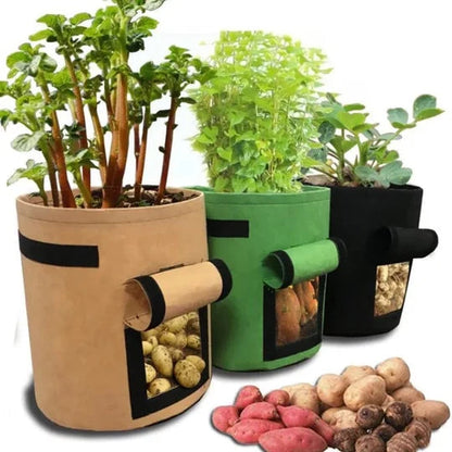 BreathMagic™ Plant Bag — Awaken Living Roots and Harvest Freedom with Every Touch!