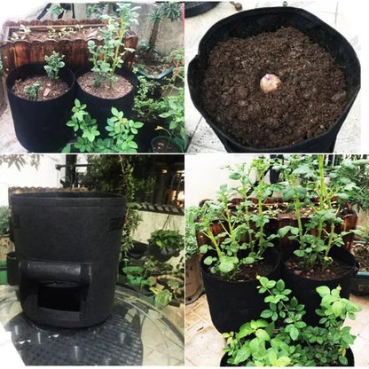 BreathMagic™ Plant Bag — Awaken Living Roots and Harvest Freedom with Every Touch!